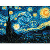 RIOLIS Counted Cross Stitch Kit 15.75"X11.75"-Starry Night-Van Gogh's (14 Count) - R1088