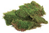 SuperMoss Preserved Sheet Moss 2oz-Green - FS21550