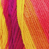 Red Heart Super Saver Yarn-Fruity Stripe - E300B-4962