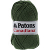 Patons Canadiana Yarn Solids-Dark Green Tea 244510-10237 - 057355334472
