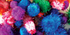 Krafty Kids Glitter Pom-Poms Variety Pack 75/Pkg-Assorted - KC216
