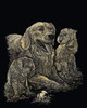 Royal & Langnickel(R) Gold Foil Engraving Art Kit 8"X10"-Golden Retriever & Puppies - GOLDFL-11