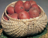 Commonwealth Blue Ridge Basket Kits-Potato Basket 7"X12"X12" - 12664 Commonwealth Blue Ridge Basket Kits-Potato Basket 7"X12"X12" - 12664