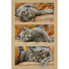 Dimensions Counted Cross Stitch Kit 10"X15"-Max The Cat (14 Count) 70-35301