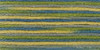 DMC Coloris 6-Strand Embroidery Cotton Floss 8.7yd-Spring - 517-4506