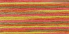 DMC Coloris 6-Strand Embroidery Cotton Floss 8.7yd-Maple - 517-4510