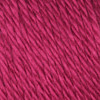 Caron Simply Soft Solids Yarn-Fuchsia H97003-9764