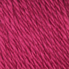 Caron Simply Soft Solids Yarn-Fuchsia - H97003-9764