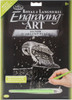 Royal & Langnickel(R) Silver Foil Engraving Art Kit 8"X10"-Snowfall At Night SILVFL-41 - 090672944047