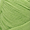 Red Heart Comfort Yarn-Melon Green - E707D-3229