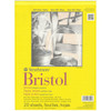 Strathmore Bristol Smooth Paper Pad 9"X12"-20 Sheets 342900 - 012017365096