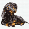 RIOLIS Counted Cross Stitch Kit 9.75"X9.75"-Dachshund (15 Count) - R906