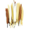 Duck Quill Feathers 24/Pkg-Earth Mix -MD38297