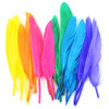 Touch Of Nature Duck Quill Feathers 24/Pkg-Bright Mix MD38367