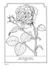 The Language Of Flowers Coloring Book-Softcover - B6430355