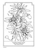The Language Of Flowers Coloring Book-Softcover - B6430355