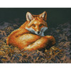 Dimensions Counted Cross Stitch Kit 14"X11"-Sunlit Fox (14 Count) 70-35318