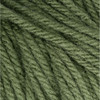 Bernat Super Value Solid Yarn-Forest Green - 164053-53243