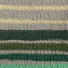 Patons Kroy Socks Yarn-Landscape Stripes - 243455-55722