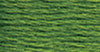 12 Pack - DMC 6-Strand Embroidery Cotton 8.7yd-Dark Parrot Green - 117-905