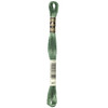 12 Pack - DMC 6-Strand Embroidery Cotton 8.7yd-Dark Pistachio Green - 117-367 - 077540051120