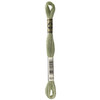 12 Pack - DMC 6-Strand Embroidery Cotton 8.7yd-Light Fern Green - 117-523 - 077540051526