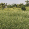 3 Pack - Woodland Scenic Static Grass 7mm-Medium Green - FS622 3 Pack - Woodland Scenic Static Grass 7mm-Medium Green - FS622
