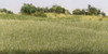 Woodland Scenic Static Grass 4mm-Dark Green -FS617