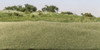 3 Pack - Woodland Scenics Static Grass 2mm-Dark Green - FS613 3 Pack - Woodland Scenics Static Grass 2mm-Dark Green - FS613