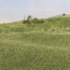3 Pack - Woodland Scenics Static Grass 2mm-Medium Green - FS614