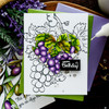 Colorado Craft Company Clear Stamps 6"X6"-The Grapevine-Big & Bold C3BB559 - 810043855594