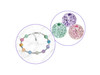 6 Pack Craft Medley Acrylic Bead Set 10mm-Crackled Glitter BD489-D