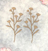 Scrapaholics Laser Cut Chipboard 2mm Thick-Botanicals 8, 2/Pkg, 4"X2" S88549