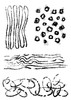 Woodware Clear Stamp 4"X6"-Singles Texture Patches FRS917