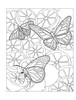 Creative Haven: Beautiful Butterfly Coloring BookB6494562