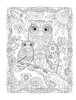 Creative Haven: Owls Coloring Book-Softcover - B6796642