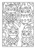 Owls Coloring BookB6780337