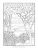 Color Your Own Tiffany Windows Coloring Book-Softcover B6453333