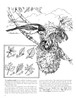 A Walk In The Woods Coloring Book-Softcover B6426440