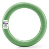 FloraCraft FloraFoM Extruded Wreath Bulk Pack-9.8"X1.4" - XT10G - 046501940339 FloraCraft FloraFoM Extruded Wreath Bulk Pack-9.8"X1.4" - XT10G - 046501940339