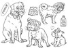 The Card Hut Clear Stamps 4"X6" By Mark Bardsley-Pets Doggy Treats MBPDT - 7426789805958