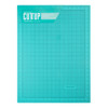 American Crafts Cutup Self-Healing Mat-18"X24" 63046