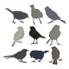 Sizzix Thinlits Dies By Tim Holtz 9/Pkg-Silhouette Birds 665861 - 630454280163