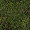 3 Pack - Quality Growers Preserved Sheet Moss-112.5 Cubic Inches - QG1471