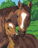 3 Pack Paint Works Paint By Number Kit 8"X10"-Pony & Mother 91119