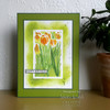 Creative Expressions Stencil Set By Jamie Rodgers-Tulip Fields CEST077