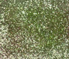 3 Pack Stampendous FranTastic Ultra Fine Glitter .6oz-Kiwi STGX-608U