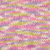 Premier Cotton Fair Bulky Multi Yarn-Fresh Blooms 2082-02