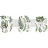 Prima Marketing Re-Design Decor Transfers 8.5"X11" 3/Sheets-MiddyBotanical Snippets RE659301 - 655350659301