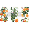 Prima Marketing Re-Design Decor Transfers 6"X12" 3/Sheets-Citrus Slice RE657444 - 655350657444